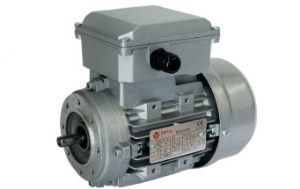 Motor asncrona monofsico baja tensin MY adp motion